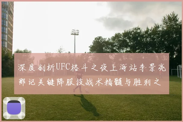 深度剖析UFC格斗之夜上海站李景亮那记关键降服技战术精髓与胜利之道