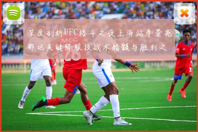 深度剖析UFC格斗之夜上海站李景亮那记关键降服技战术精髓与胜利之道
