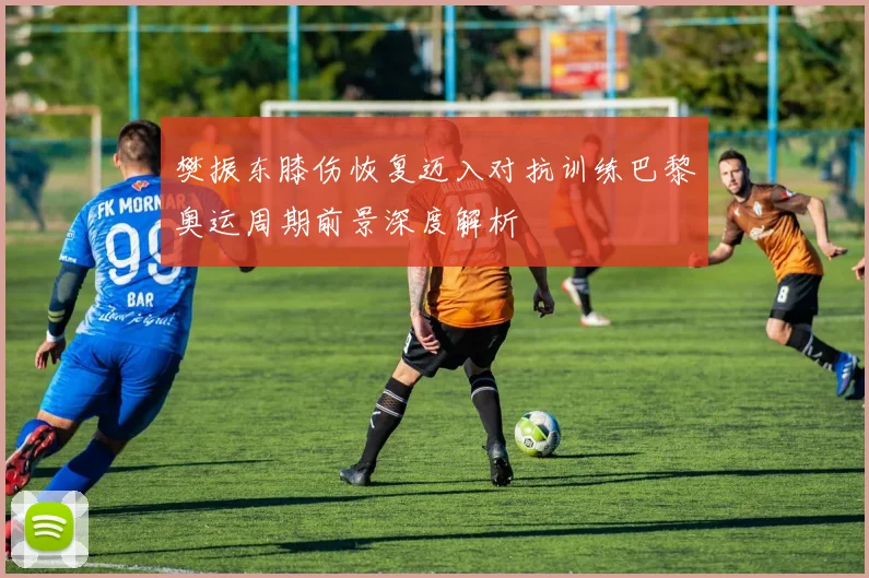 樊振东膝伤恢复迈入对抗训练巴黎奥运周期前景深度解析