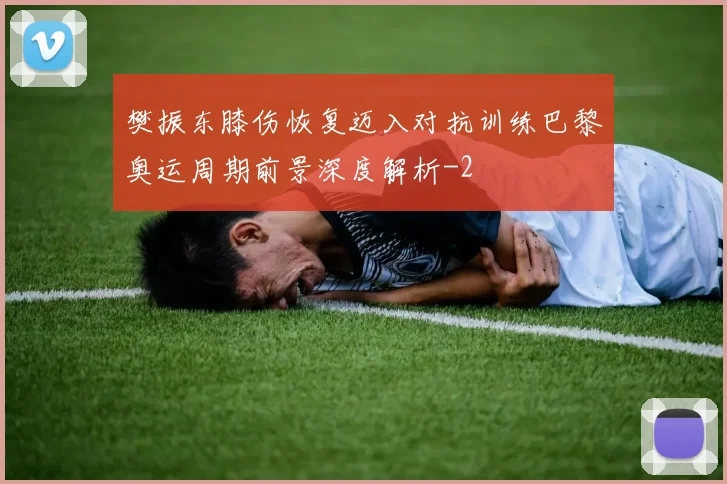 樊振东膝伤恢复迈入对抗训练巴黎奥运周期前景深度解析